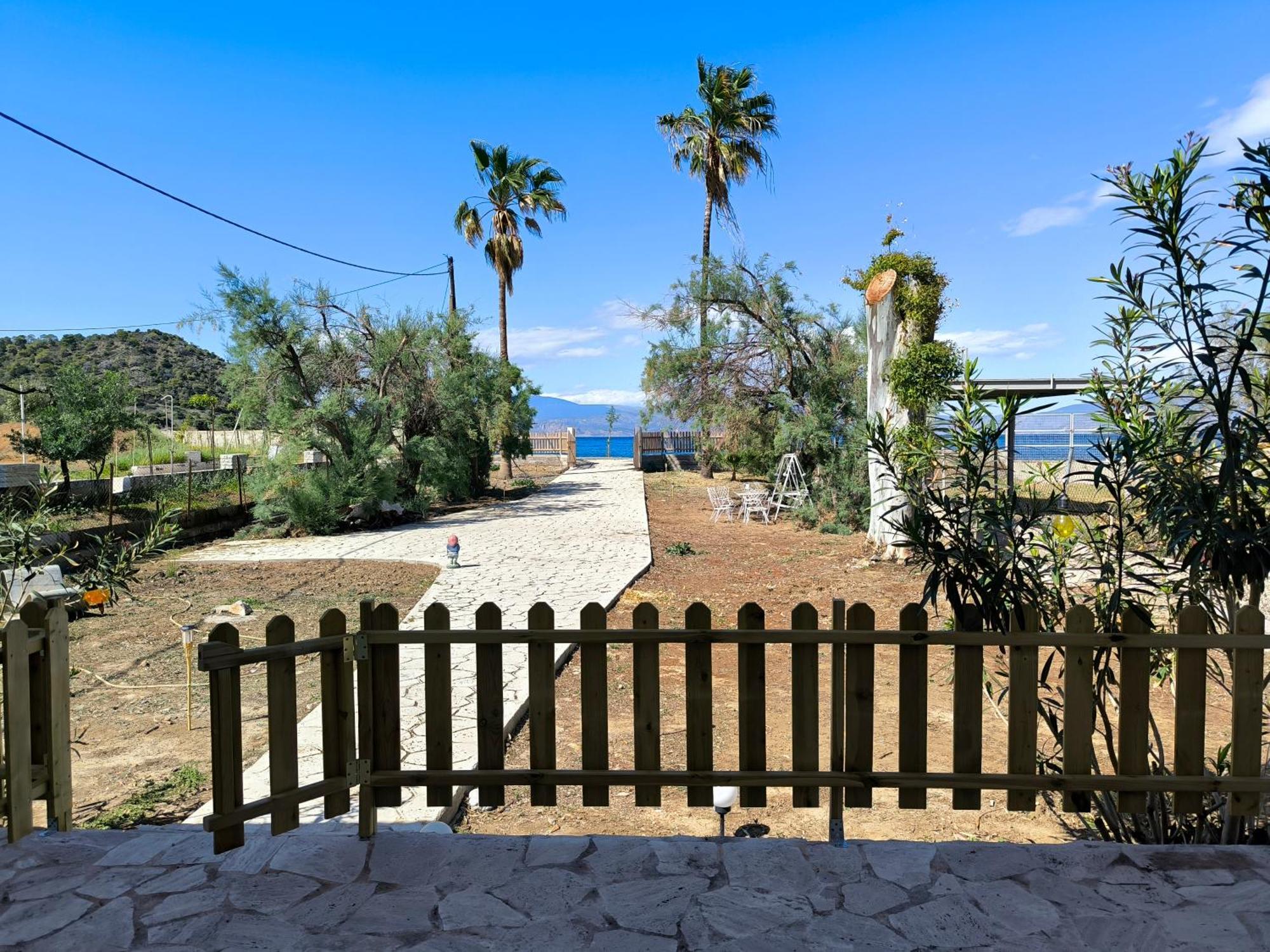 Palm Tree House By The Beach Skhoínos Esterno foto